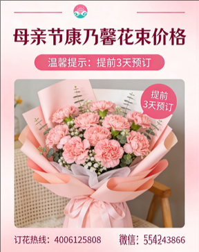 天津津南区花店母亲节康乃馨花束