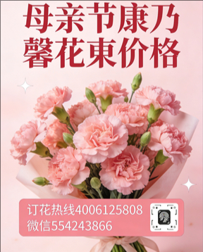 天津津南区花店母亲节康乃馨花束